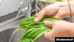 «Водопровідна вода – цілком безпечна», – наголошує міська влада