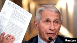 АКШнын Аллергия жана жугуштуу оорулар улуттук институтунун директору Энтони Фаучи.