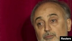 علی‌اکبر صالحی، سرپرست وزارت امور خارجه ایران