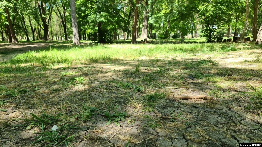Потрісканий від посухи ґрунт у Гагарінському парку Сімферополя, травень 2025 року
