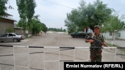 Кыргыз-өзбек чек арасы. Ош облусу. Иллюстрациялык сүрөт.
