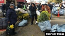 За вывоз в Россию мимозы тоже полагается таможенный сбор, а весь конфискат отвозится в Сухум в ГТК и складируется там